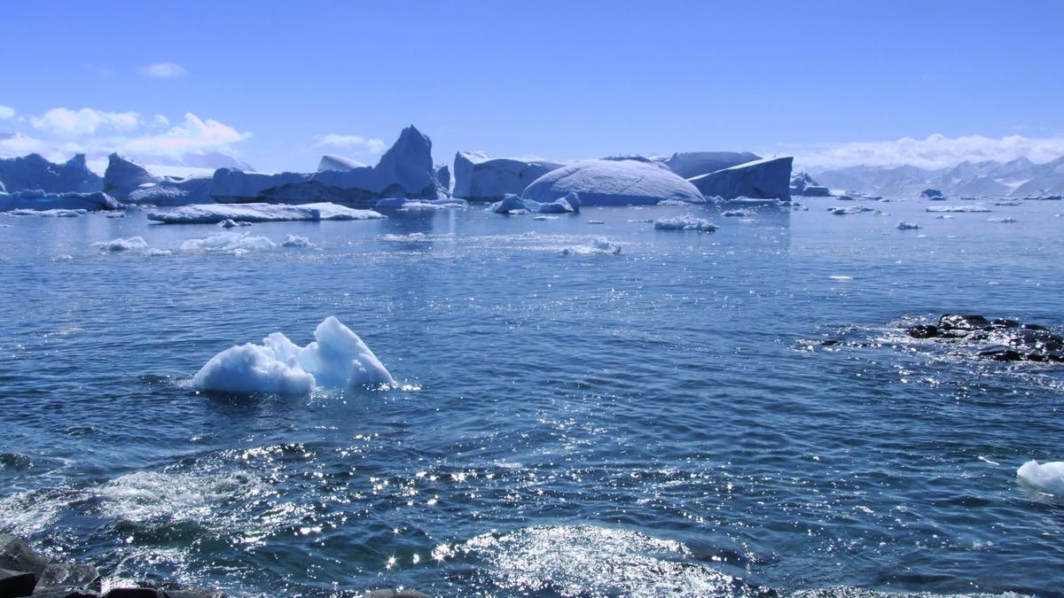 Proudly Indigenous Crafts & Designs (PIC&D)