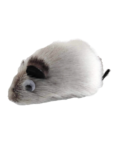Sealskin Mouse